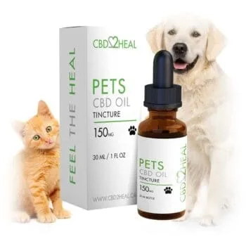 cbd oil for cats and dogs 150mg by cbd2heal