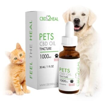 CBD Isolate Oil for Large Dogs (BACON), 1000mg