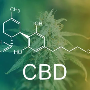 CBD Dosage Guide